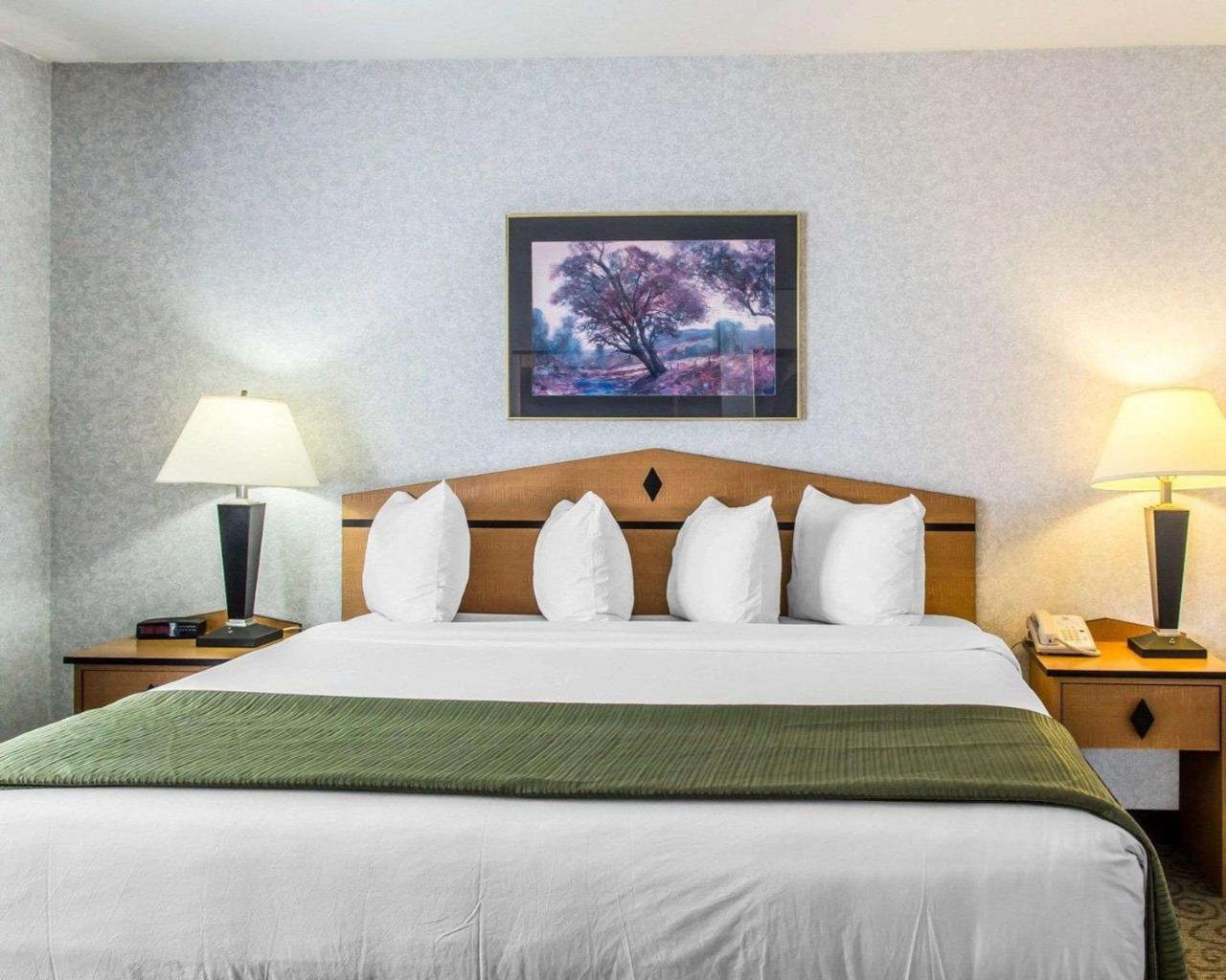 Quality Inn & Suites Denver Airport - Gateway Park Aurora Dış mekan fotoğraf